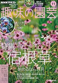 【レア品】34年前の古書　ＮＨＫ趣味の園芸　19冊1991年〜1992年 昭和 レア品】34年前の古書 NHK趣味の園芸 19冊まとめて 1991年