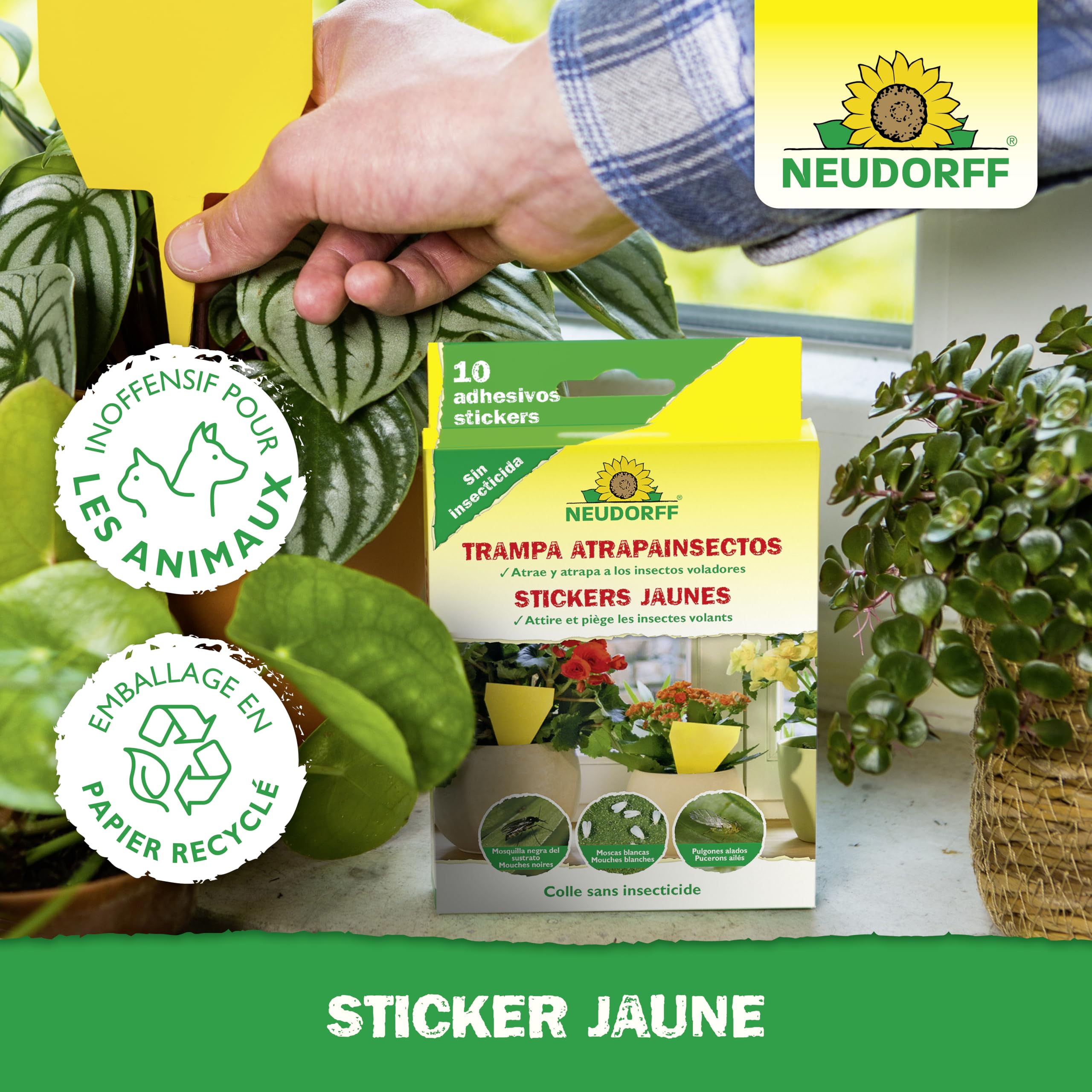 Plukwandeling met niet giftige planten voor paarden! - Pets Place Plukwandeling met niet giftige planten voor paarden! - Pets Place