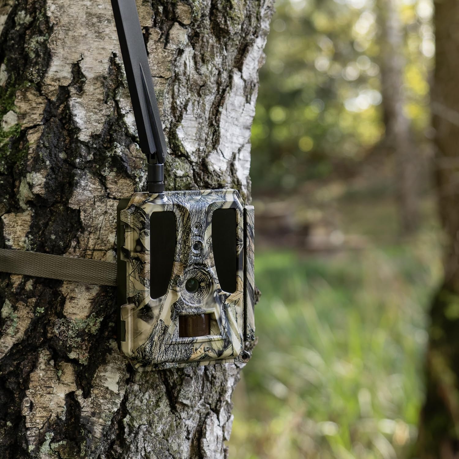 DÖRR SnapShot Cloud Pro 4G WA Game Camera mounted on a tree using its strap