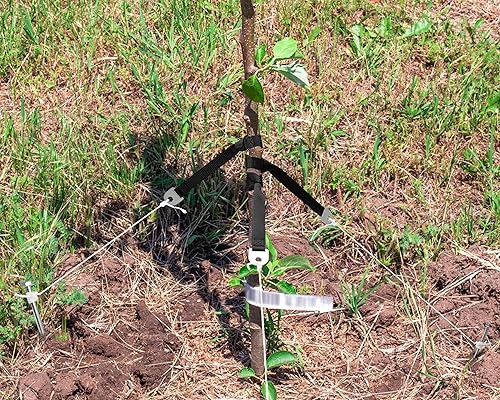 Miniatura 6 de YOUSTOO Estacas para árboles, 6 estacas y soportes para árboles inclinados y árboles jóvenes contra el mal tiempo