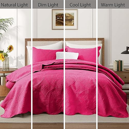 Vista 76 de IR Imperial Rooms - 10 juegos de colcha tamaño individual (68 x 86 pulgadas), para hoteles, habitaciones de huéspedes, colchas ligeras reversibles