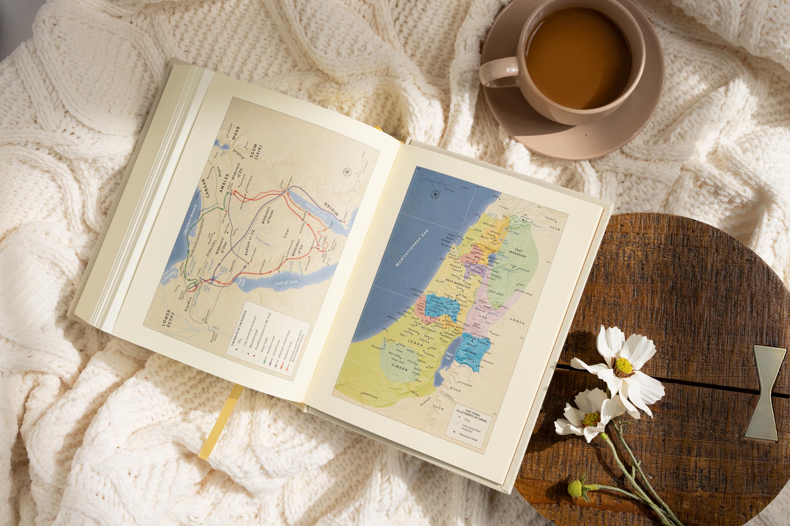 CSB Notetaking Bible, Floral Cloth Over Board, Black Letter, Wide Margins, Journaling Space, Single-Column, Reading Plan, Easy-to-Read Bible Serif Type - Image 6