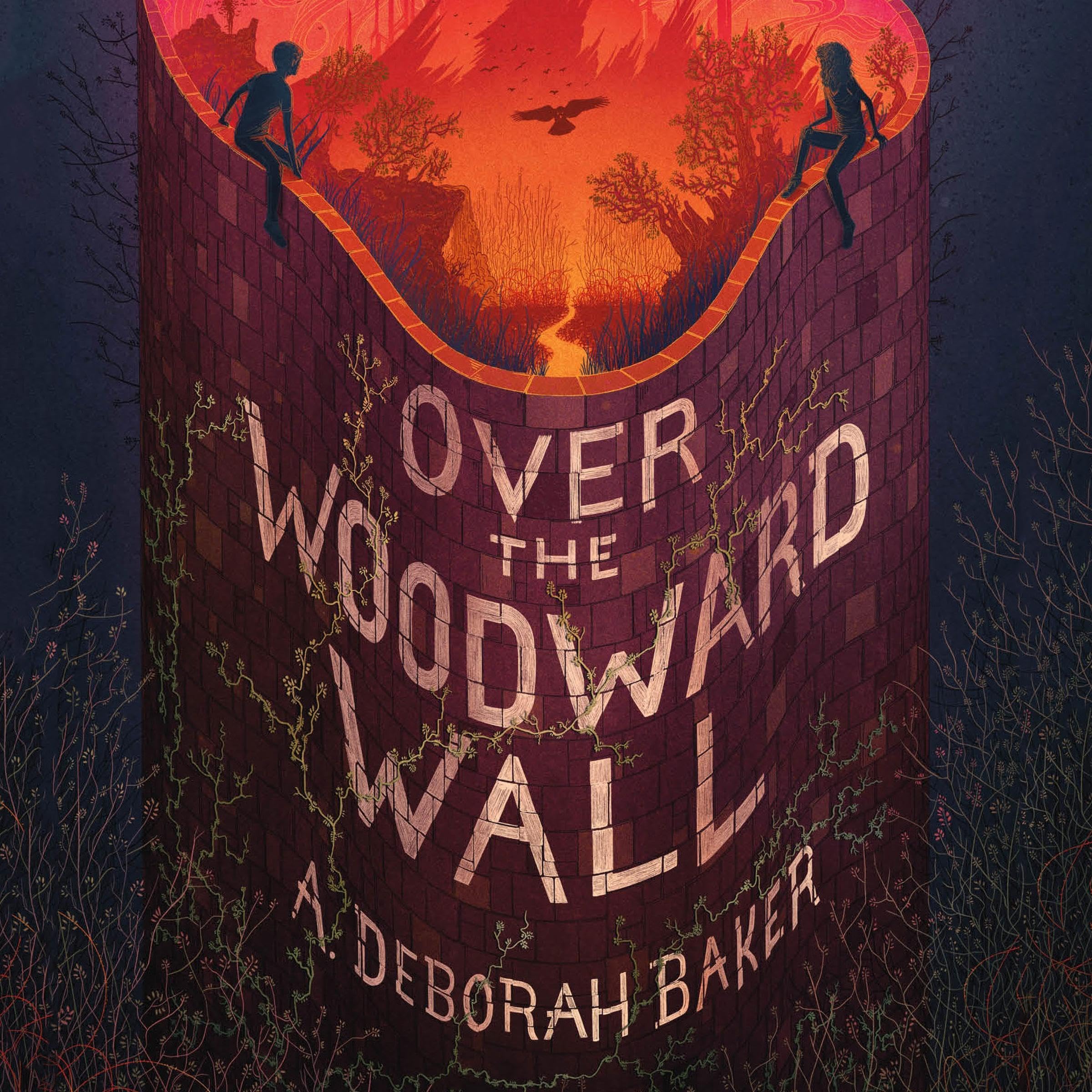 Cover art for Over the Woodward Wall