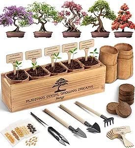 Bonsai Tree Kit for Beginners – 5X Unique Japanese Bonzai Trees | Complete Indoor Starter Kit for Growing Bonsai Plants with Tools & Planters – Gardening Gifts for Women & Men