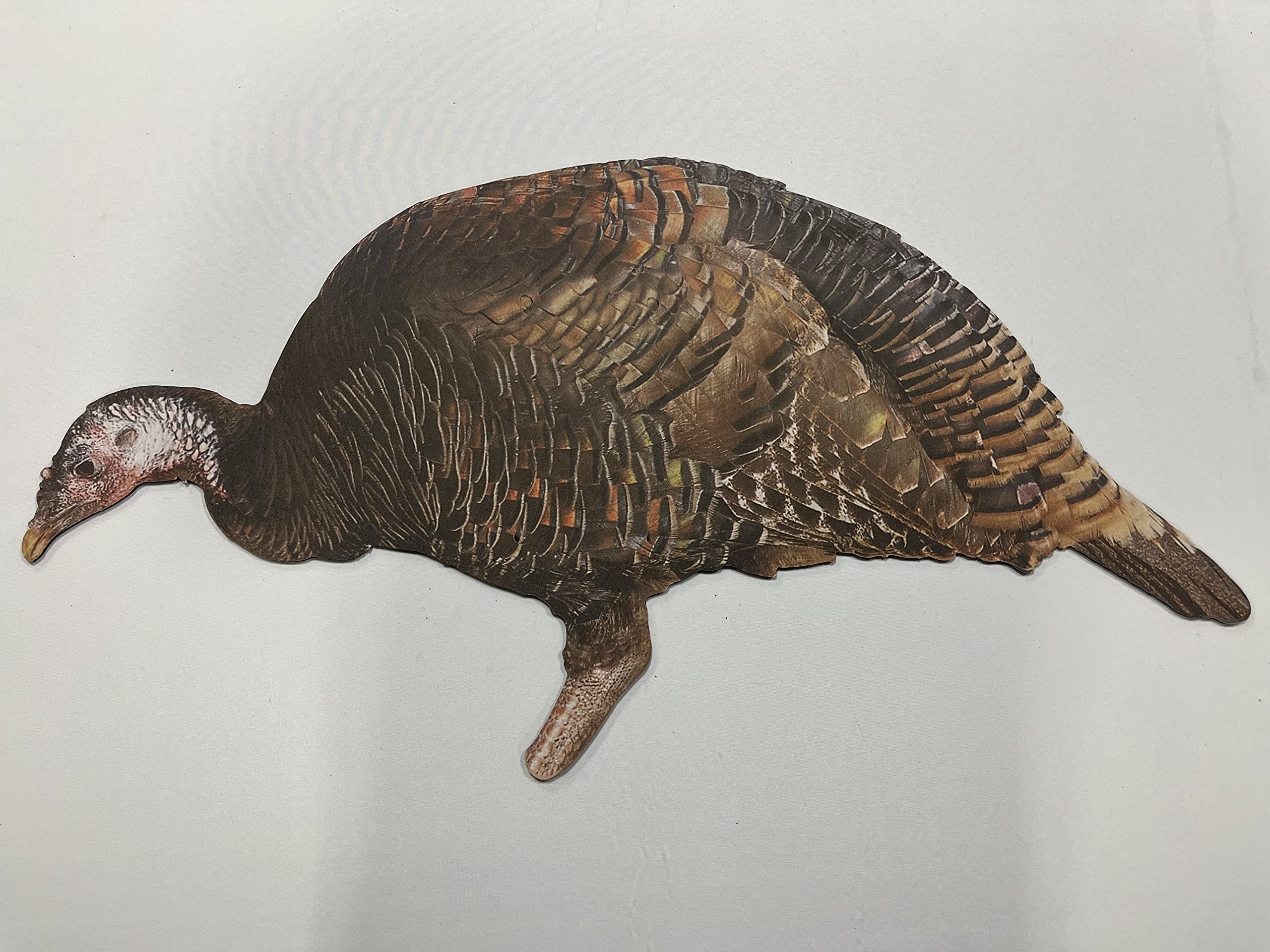 Real-Geese Flatline DVD - Volume 2