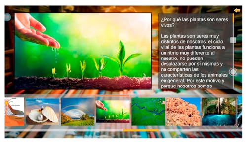 Galería Curiosidades