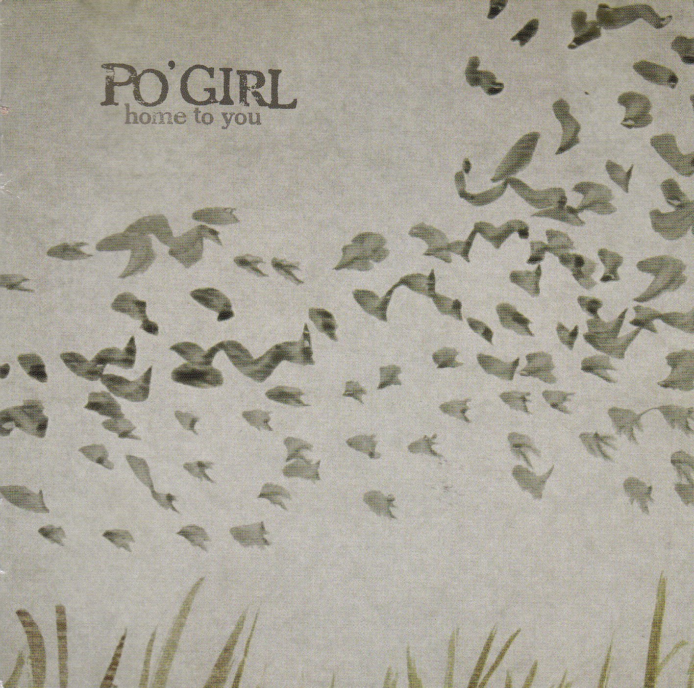 Home To You [Audio CD] Po' Girl