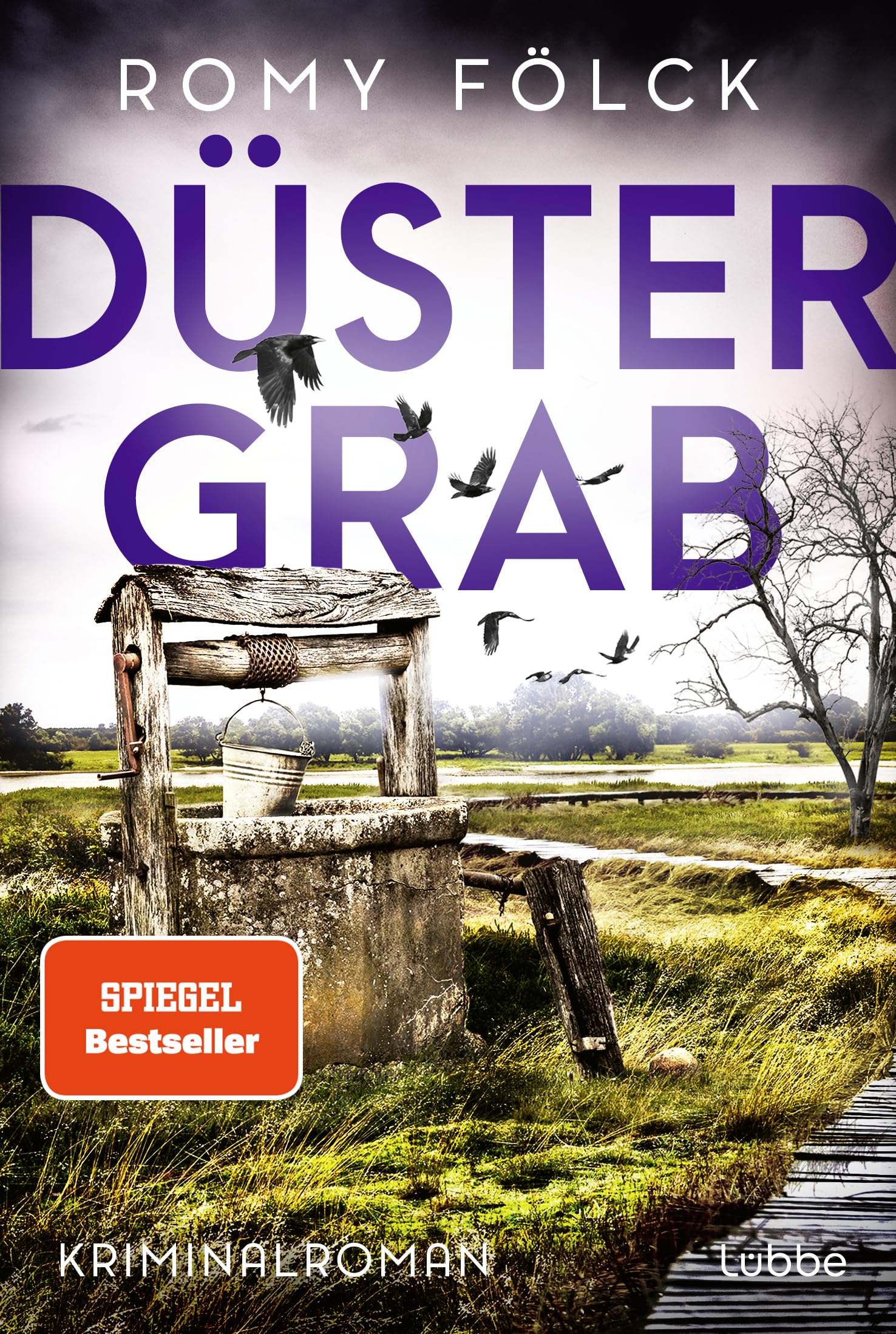 Düstergrab: Kriminalroman. Atmosphärische Spannung aus Norddeutschland: Band 6 der SPIEGEL-Bestsellerserie