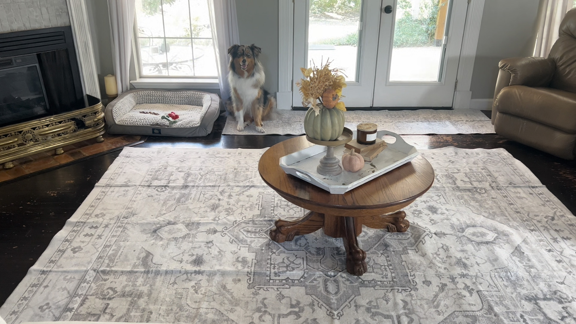 Frame Elegance Wool Rug 120×160 cm Felisha Floral Border Wool Area