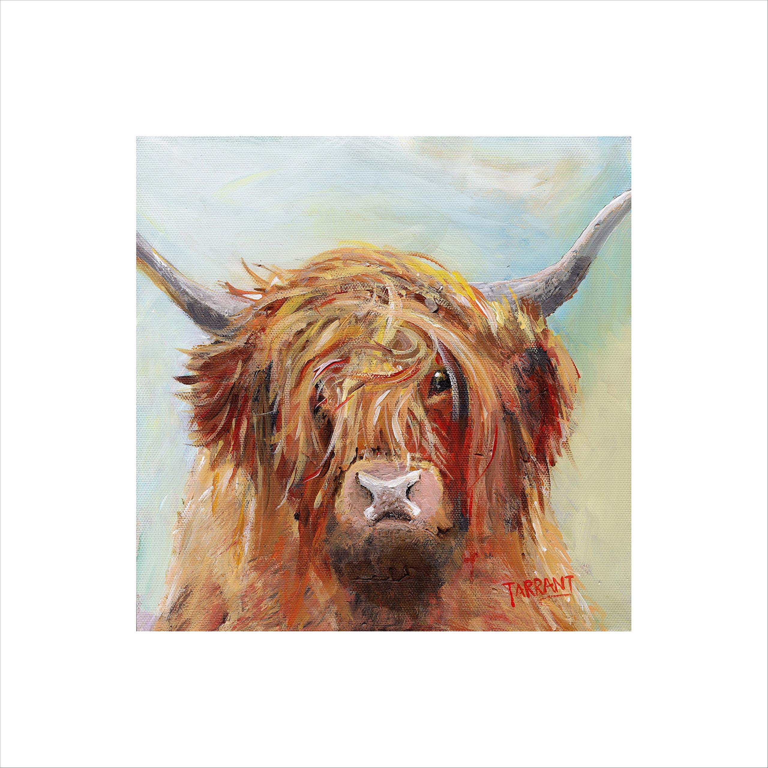 Artists Canvas Print |Scottish Cow-Scruffy 2 Coo | Canvas Artists Print in a White Mount. Wall Art. Artist Peter Tarrant, Suitable gift. Free UK Postage.