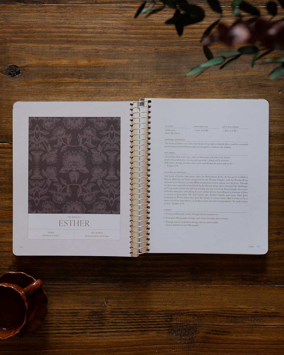 A Year in the Bible: 365 Days of Discovering the Beauty of Jesus from Genesis to Revelation - Volume 2      Spiral-bound – November 3, 2025