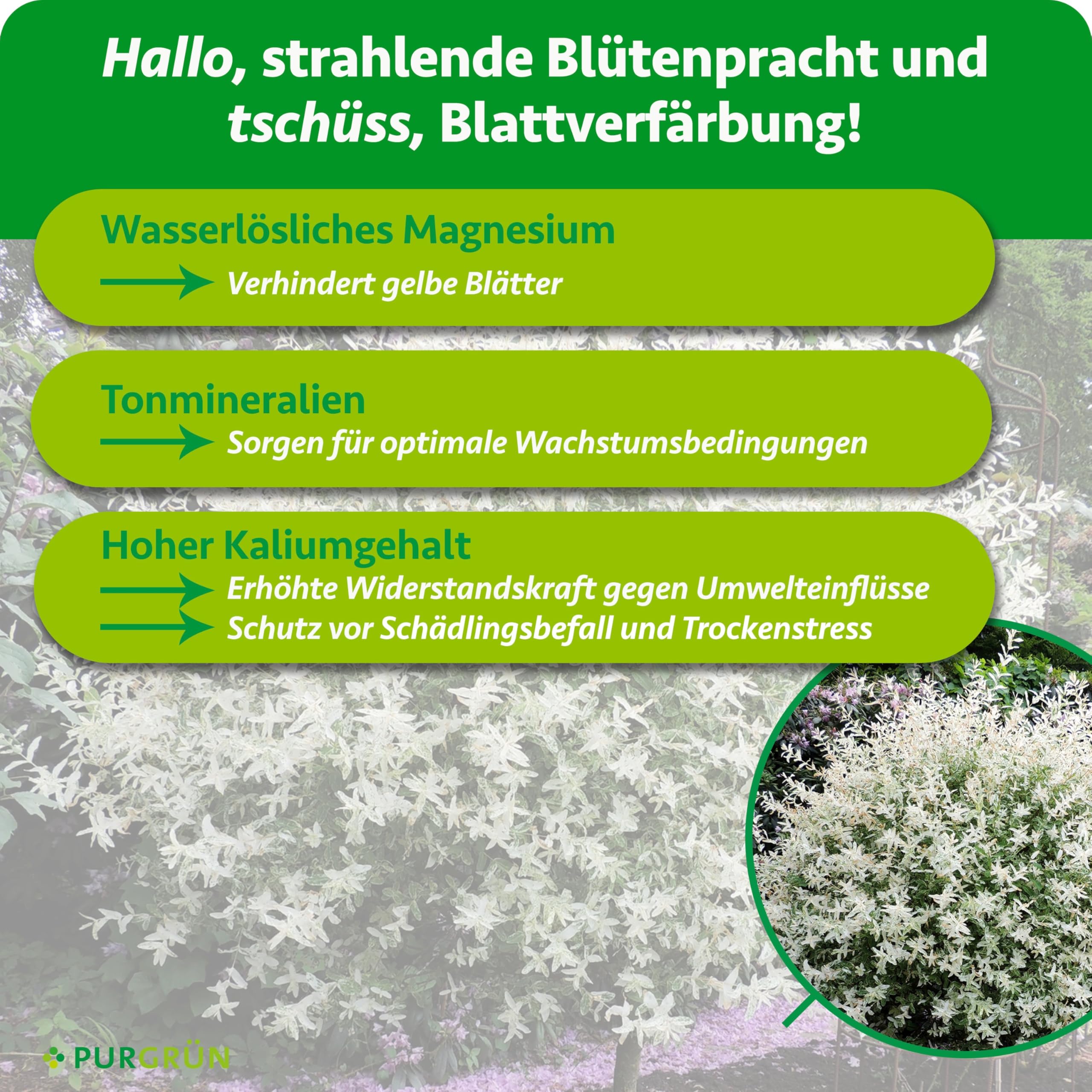 Harlekinweide-Dünger 1 kg – Organisch-mineralische Rezeptur – Feinkörniges Krümelgranulat – NPK 5+4+6 – Extra Magnesium für prächtige Blüten – Verbessert die Bodenqualität