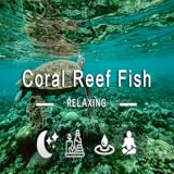 Entspannende Musik für Stressabbau, Angstzustände und depressive Zustände • Heilung von Geist, Körper und Seele