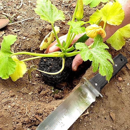 Miniatura 6 de GARTOL Hori Hori - Cuchillo de jardín con funda de cuero, hoja de acero inoxidable de 7 pulgadas, mango de madera de espiga completa, herramientas