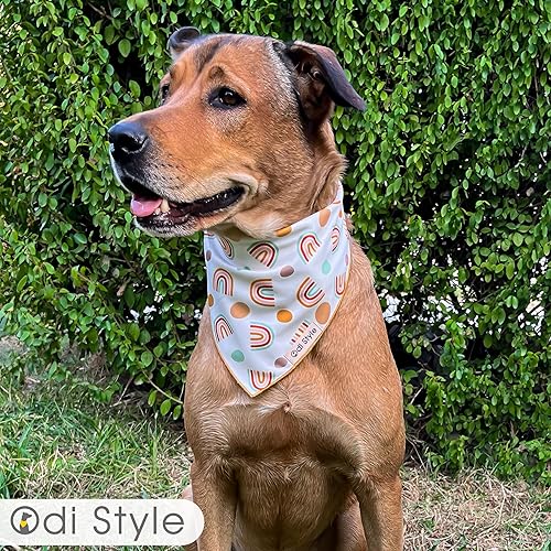 Miniatura 2 de Odi Style Bandanas de otoño para perros, paquete de 2, elegantes bandanas de otoño para niños y niñas, accesorios festivos para mascotas, bufandas