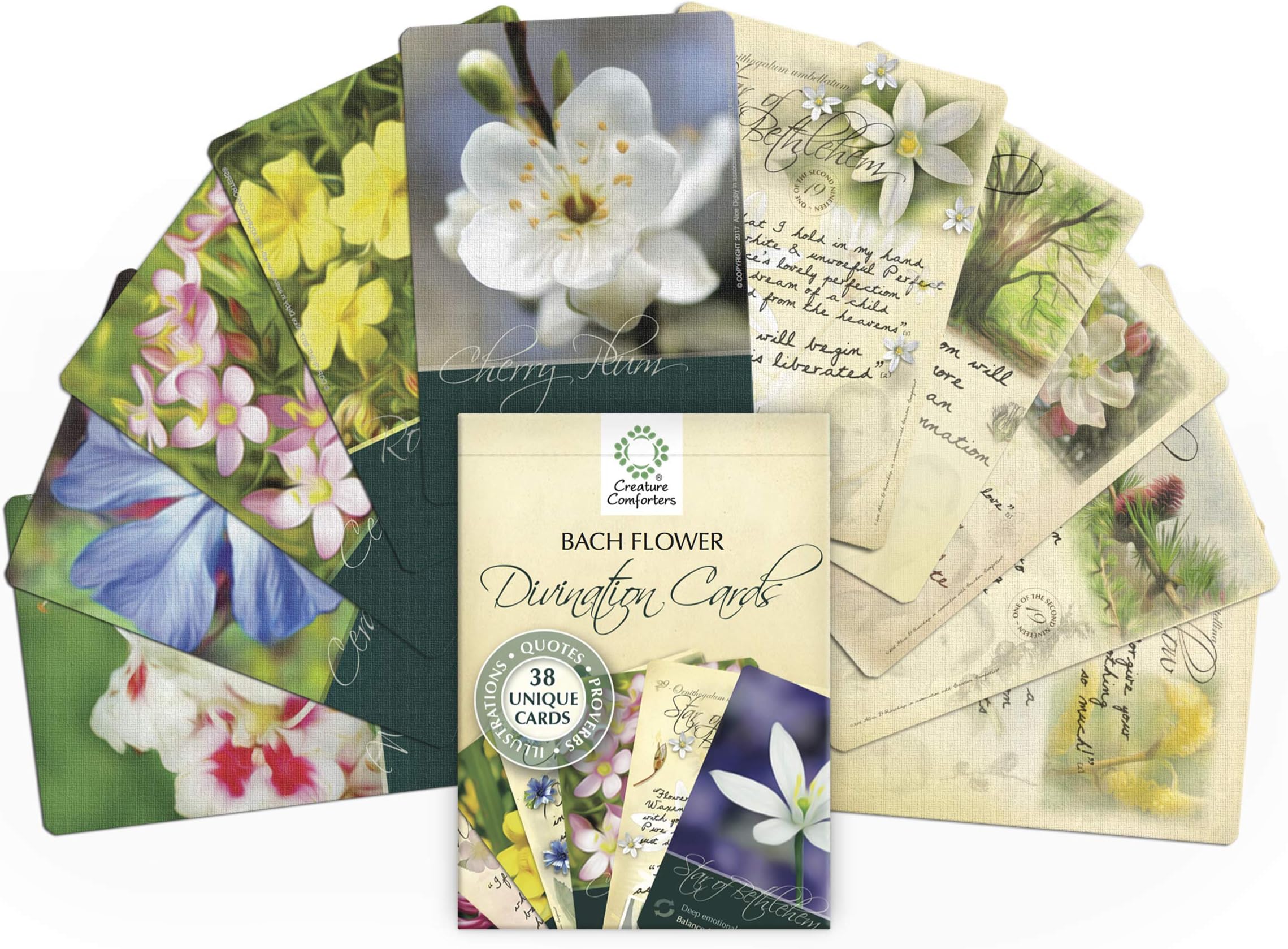 Creature Comforters Bach Flower Divination Cards Pack 38 Beautiful illustrations, proverbs, quotes, affirmations