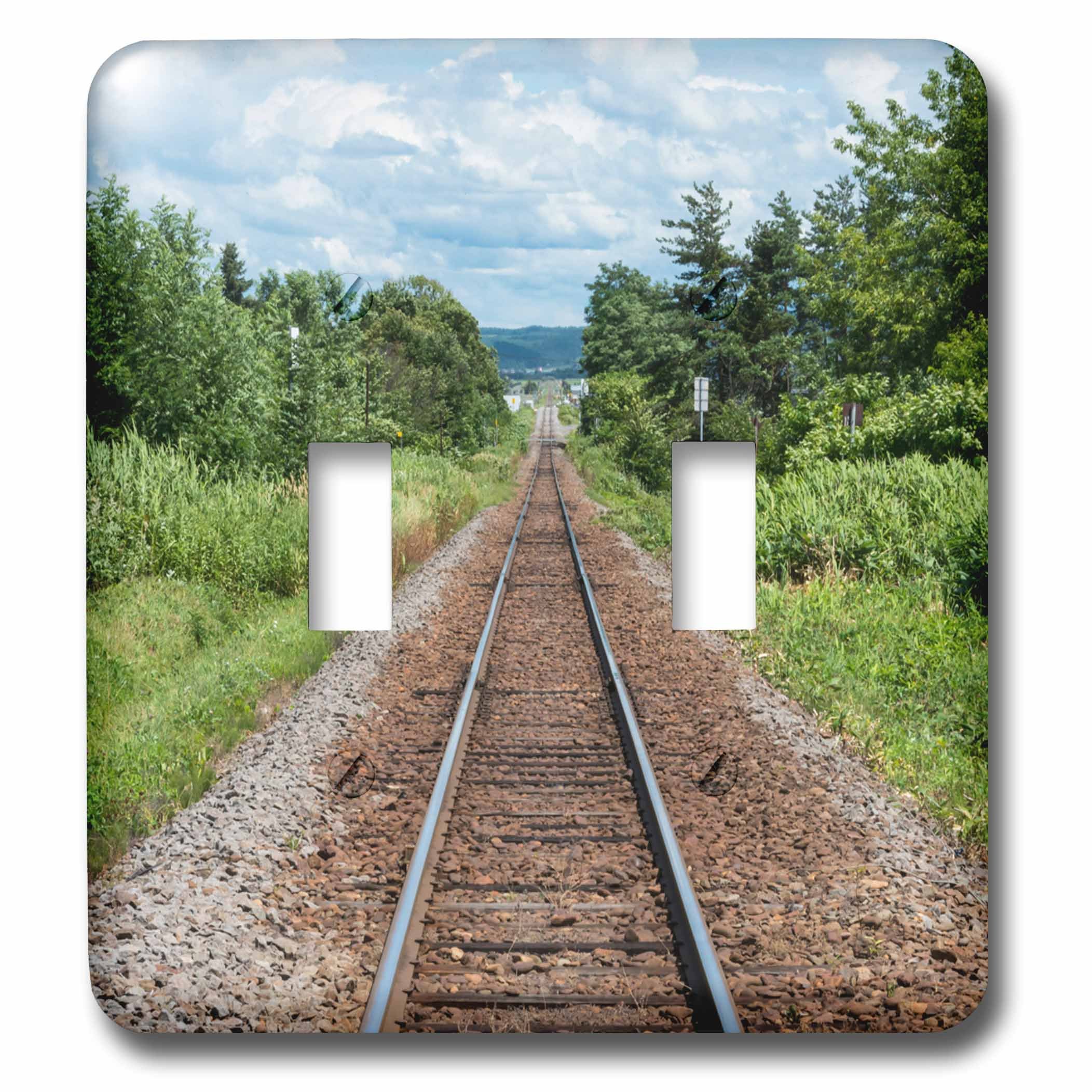 Voie ferroviaire de Hokkaido interrupteur à bascule 3dRose d'exception