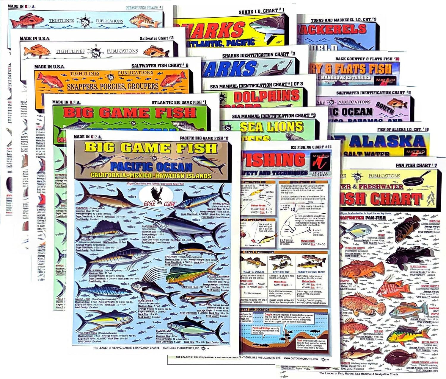 Saltwater Fish Identification Chart Set - Waterproof Quick Reference Fishing Guides - 100+ Species ID - (Atlantic and Pacific) - Double-Sided & Easy to Read - Great Gift for Beginners