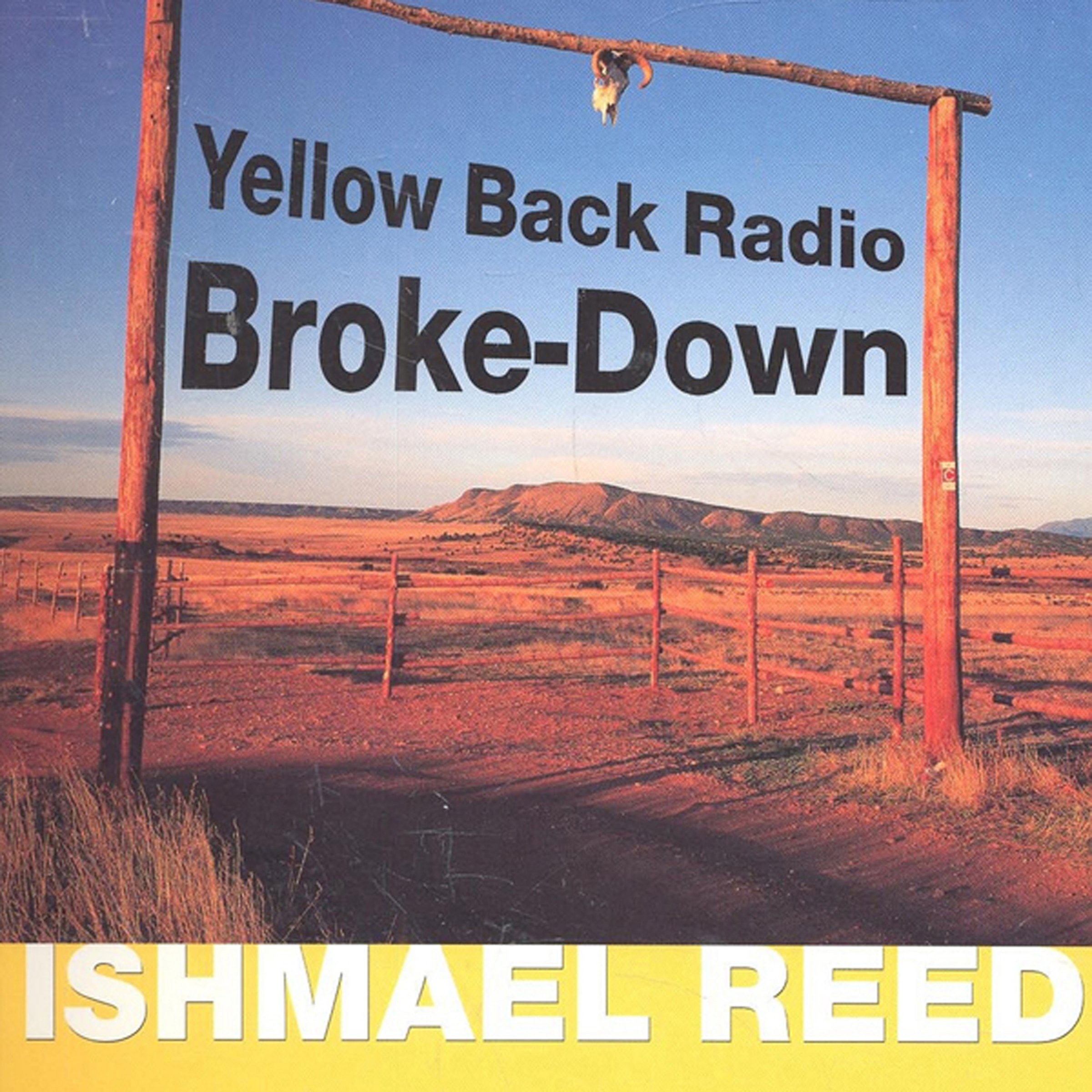 Yellow Back Radio Broke-Down
