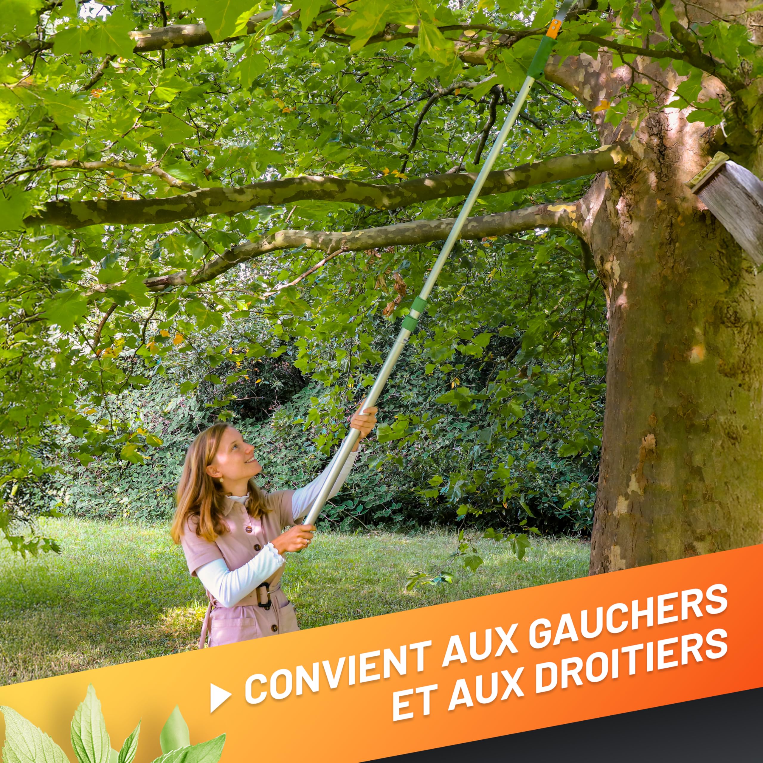 GRÜNTEK Scie Élagage Télescopique sur Perche à Elaguer Coupe Branches 100-240 cm compatible avec Echenilloir GRÜNTEK (art. B096Y5T5VT)