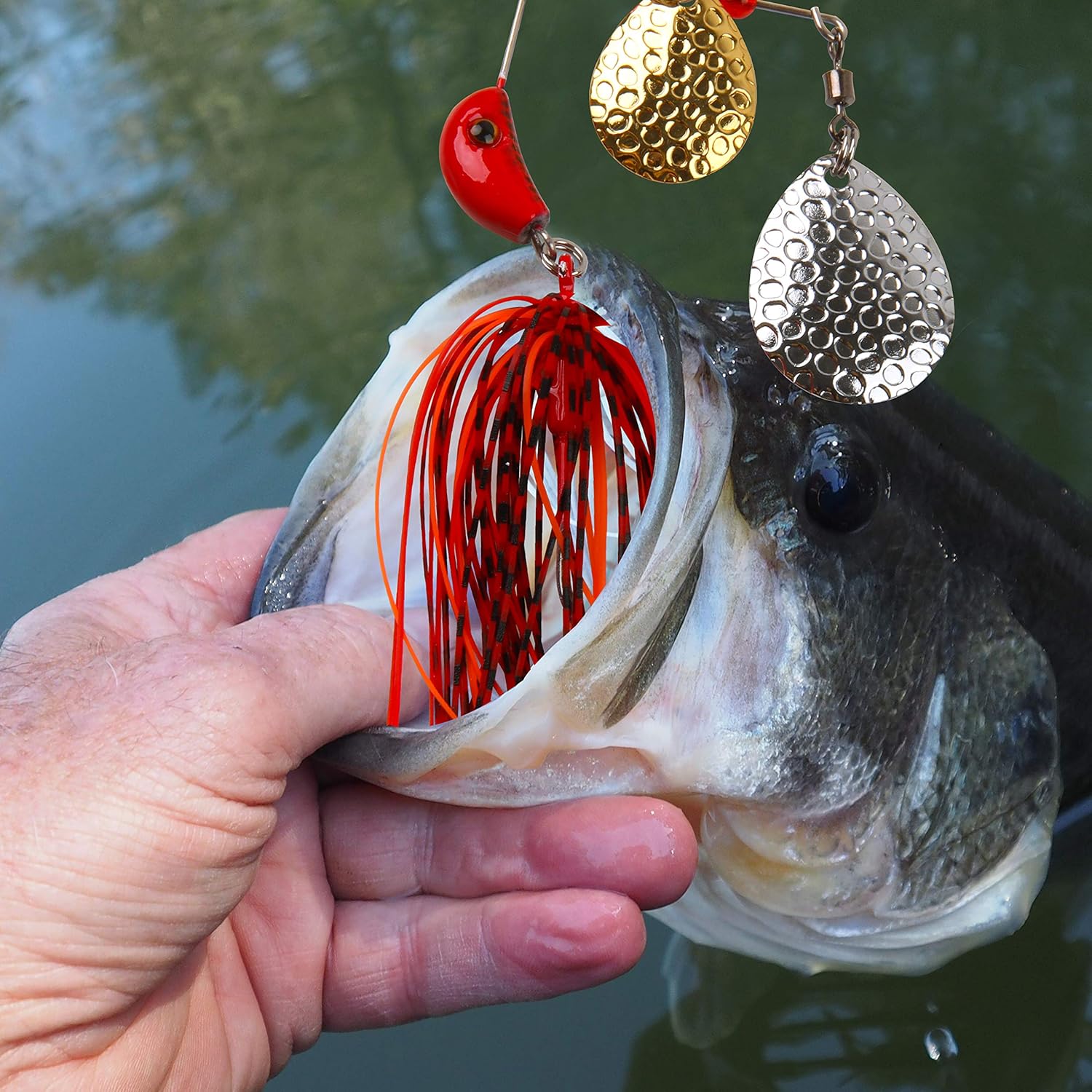 Spinnerbait Bass Fishing Lures Kit, 3/4oz Spinner Baits with Colorado Blades Multicolor Hard Metal Buzzbait Swimbait Jigs for Trout Walleye Pike Salmon Freshwater Saltwater Fishing : Sports & Outdoors