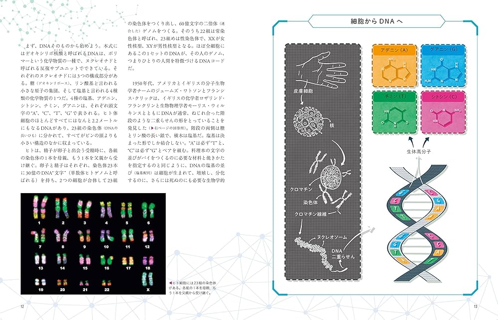 ビジュアルで見る 遺伝子・DNAのすべて:身近なトピックで学ぶ