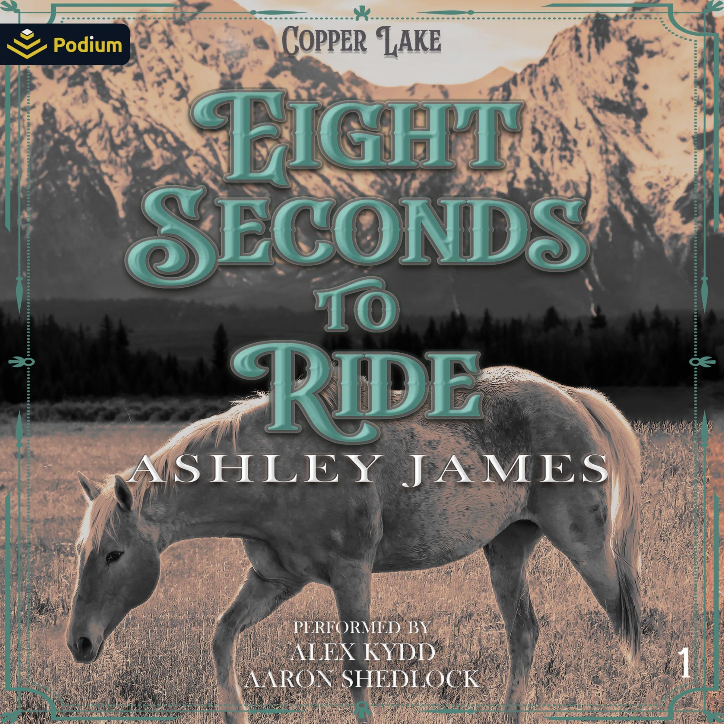 Cover art for Eight Seconds to Ride