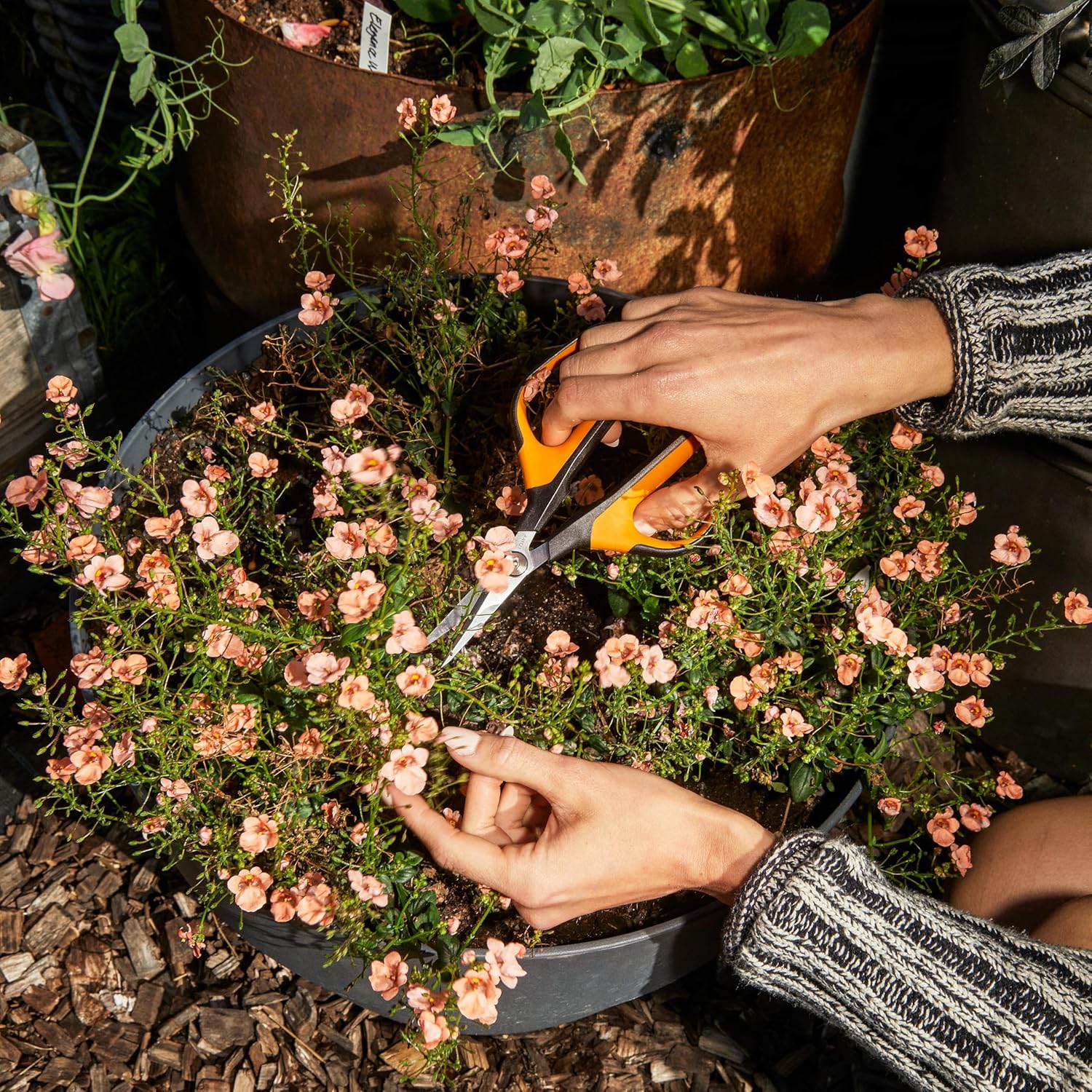 Fiskars Comfort Loop Pruning Snips, Garden Gifts for Women, Extra Large SoftGrip Handle, Yard and Garden Tools 7", Orange/Black - Image 8