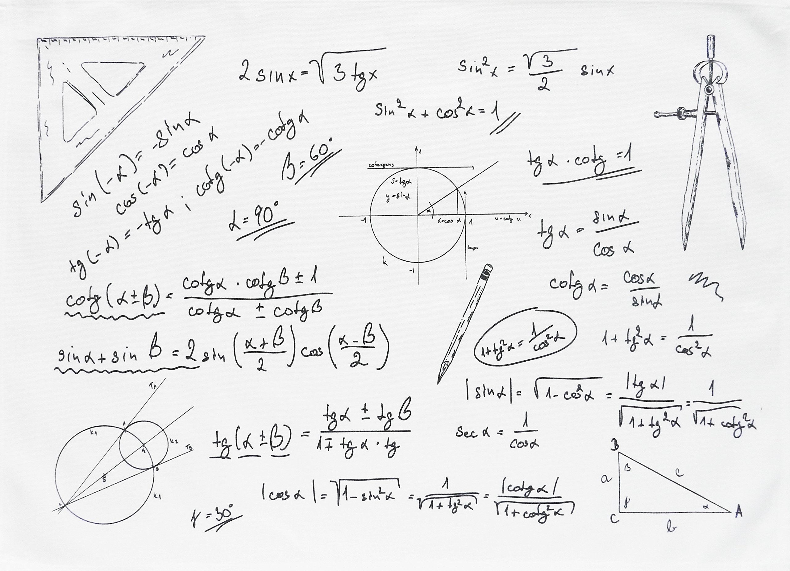 Half A Donkey Black/White The Maths And Trig Cotton Tea Towel