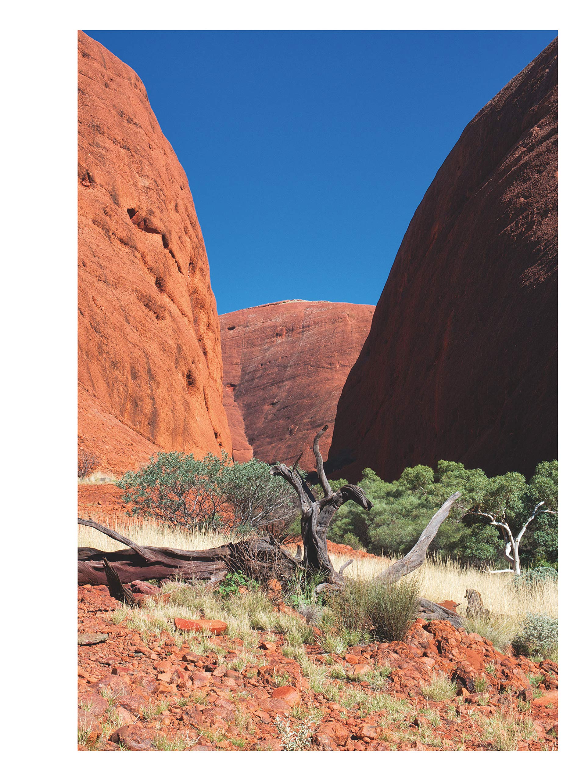 Australie aborigène: Walkabout