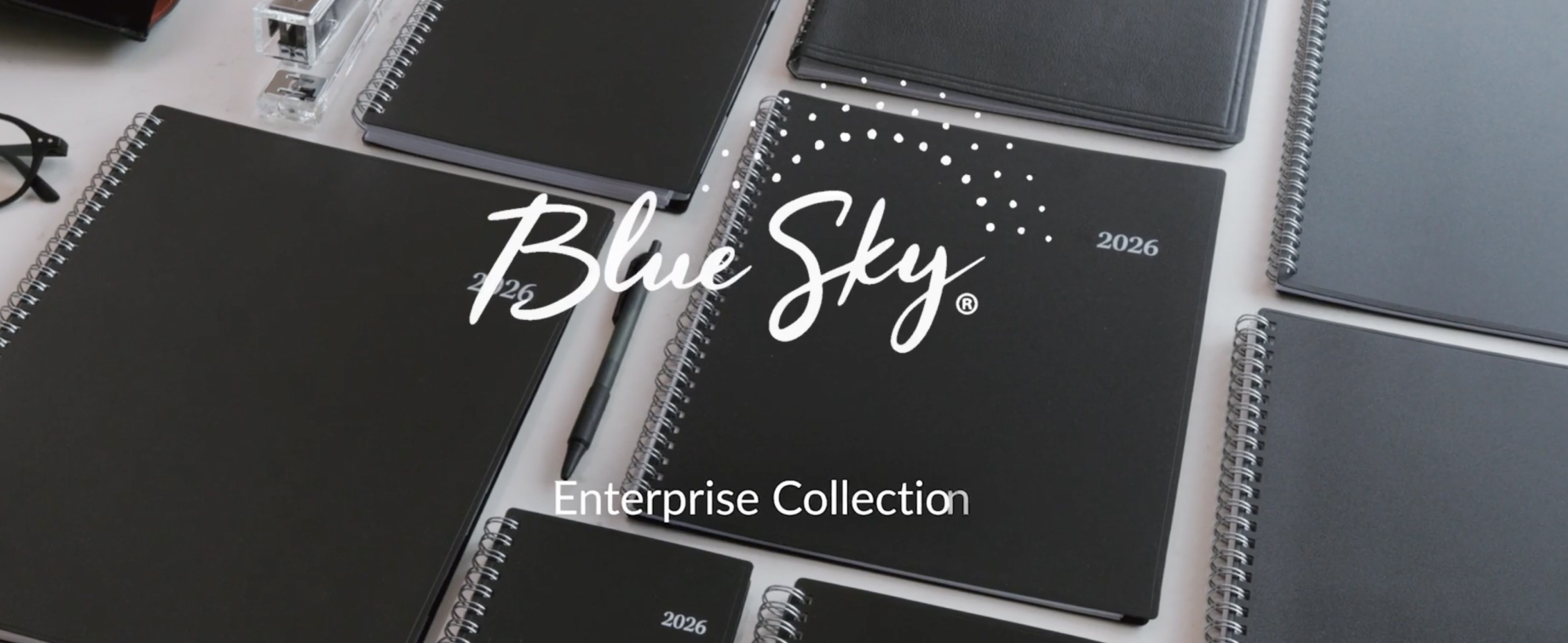 Amazon.com : Blue Sky 2025 Weekly and Monthly Planner Calendar