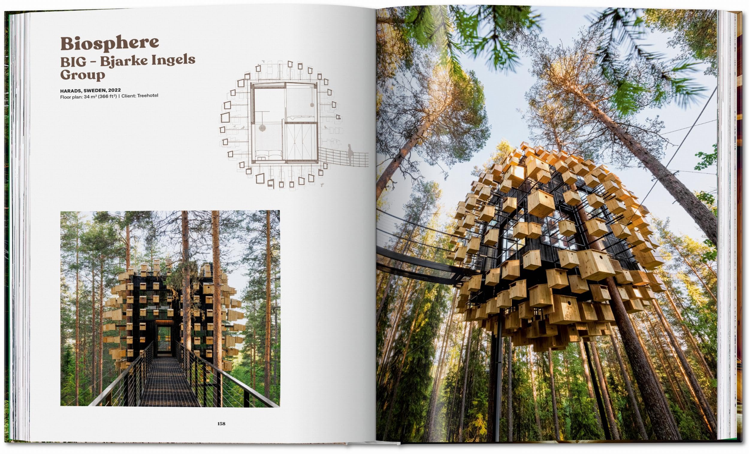 Modern Tree Houses (Jumbo)
