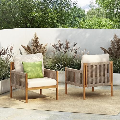 Barris Lounge Chair Outdoor Set of 2, Patio Accent Chair,