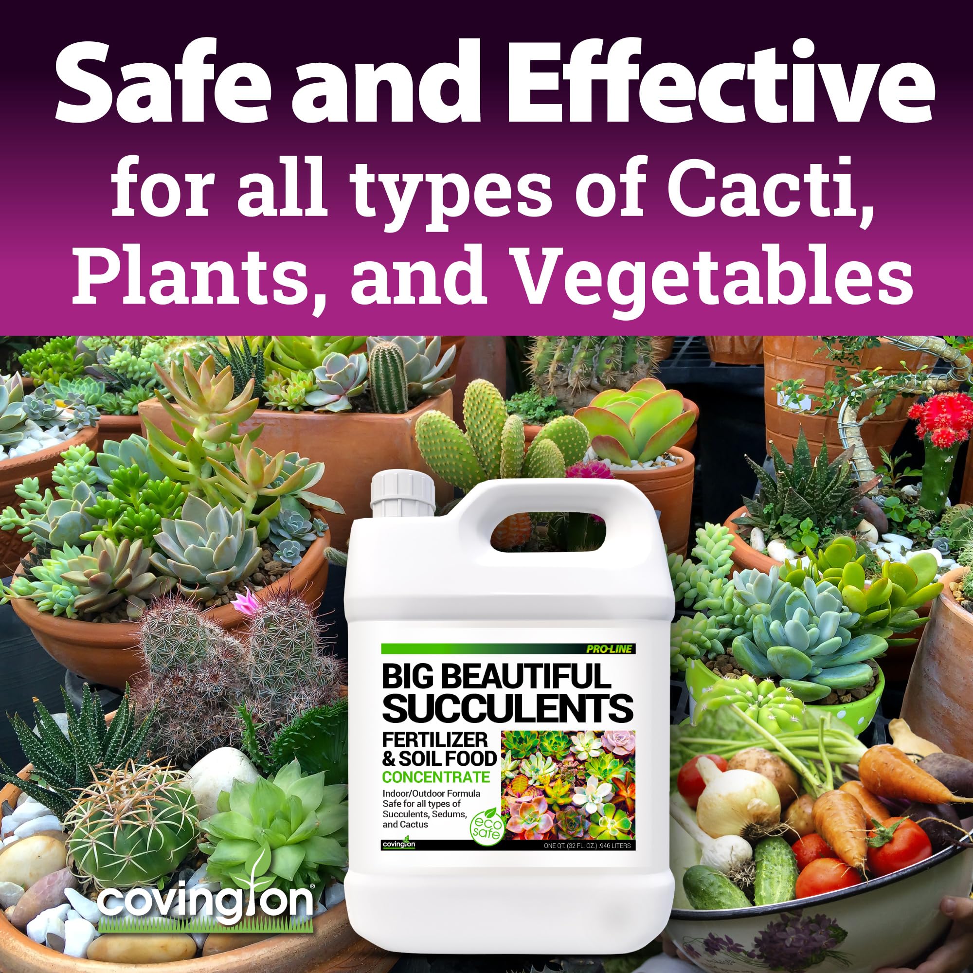 Amazon.com : Covington Succulent Fertilizer Liquid (1 Gallon)  Cactus & Succulent  Plant Food for Indoor and Outdoor Use  Slow Release Liquid Fertilizer for  Houseplants  Made in USA : Patio, Lawn & Garden