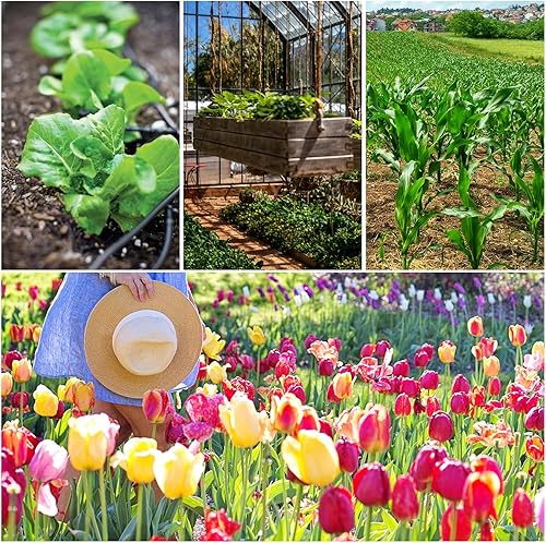 Miniatura 6 de Moicstiy 60 piezas de acoplamiento de riego por goteo de 14 de pulgada Conector de púas de acoplamiento recto para sistema de riego por goteo de