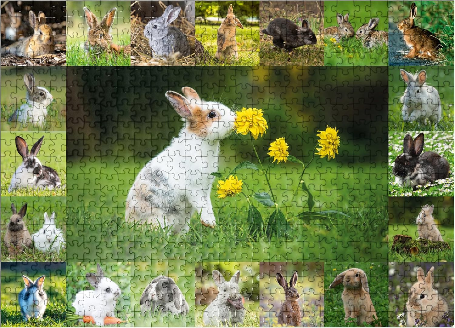 MyPuzzle Bunnies & Flowers - Collage - Premium 500 Piece Jigsaw Puzzle for Adults