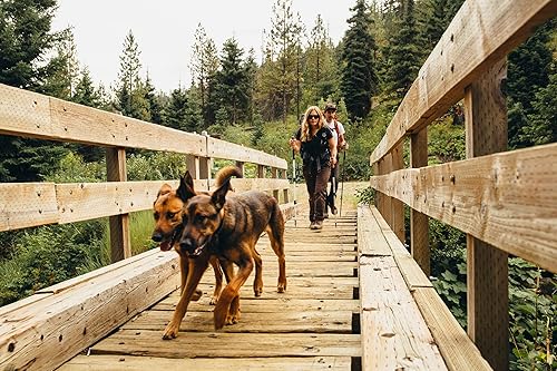 Miniatura 8 de Cascade Mountain Tech Bastones de trekking - Bastones de fibra de carbono para caminar o senderismo con cerraduras ajustables rápidas