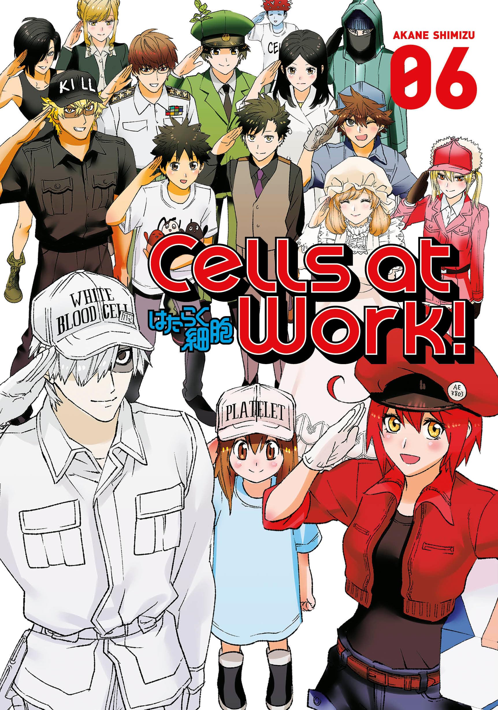 Cells at Work! 6 (CELLS AT WORK GN)
