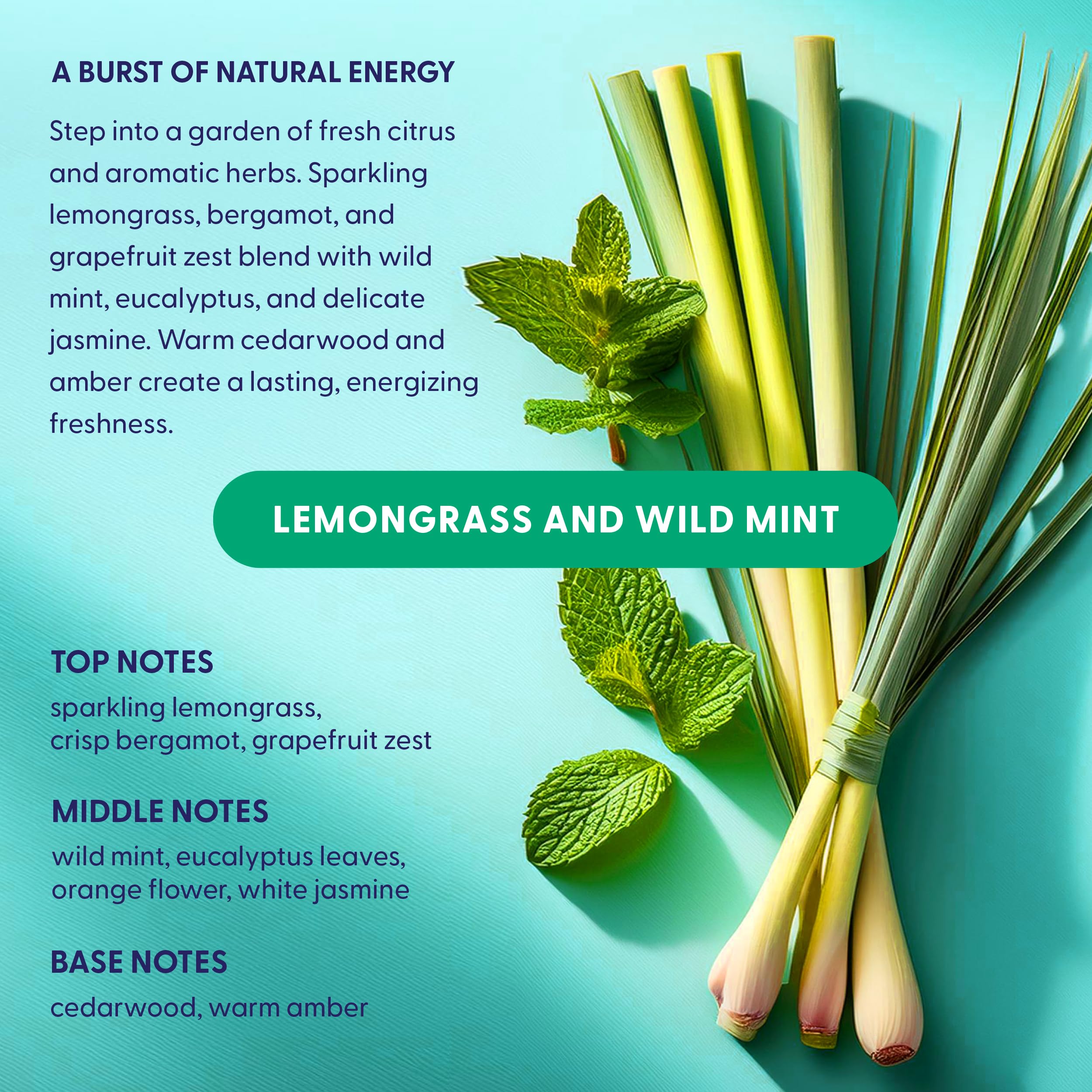 Cápsulas naturales para lavavajillas, detergente enzimático a base de plantas, citronela y menta silvestre, ecológico, resistente a la grasa y los residuos de alimentos, 60 unidades