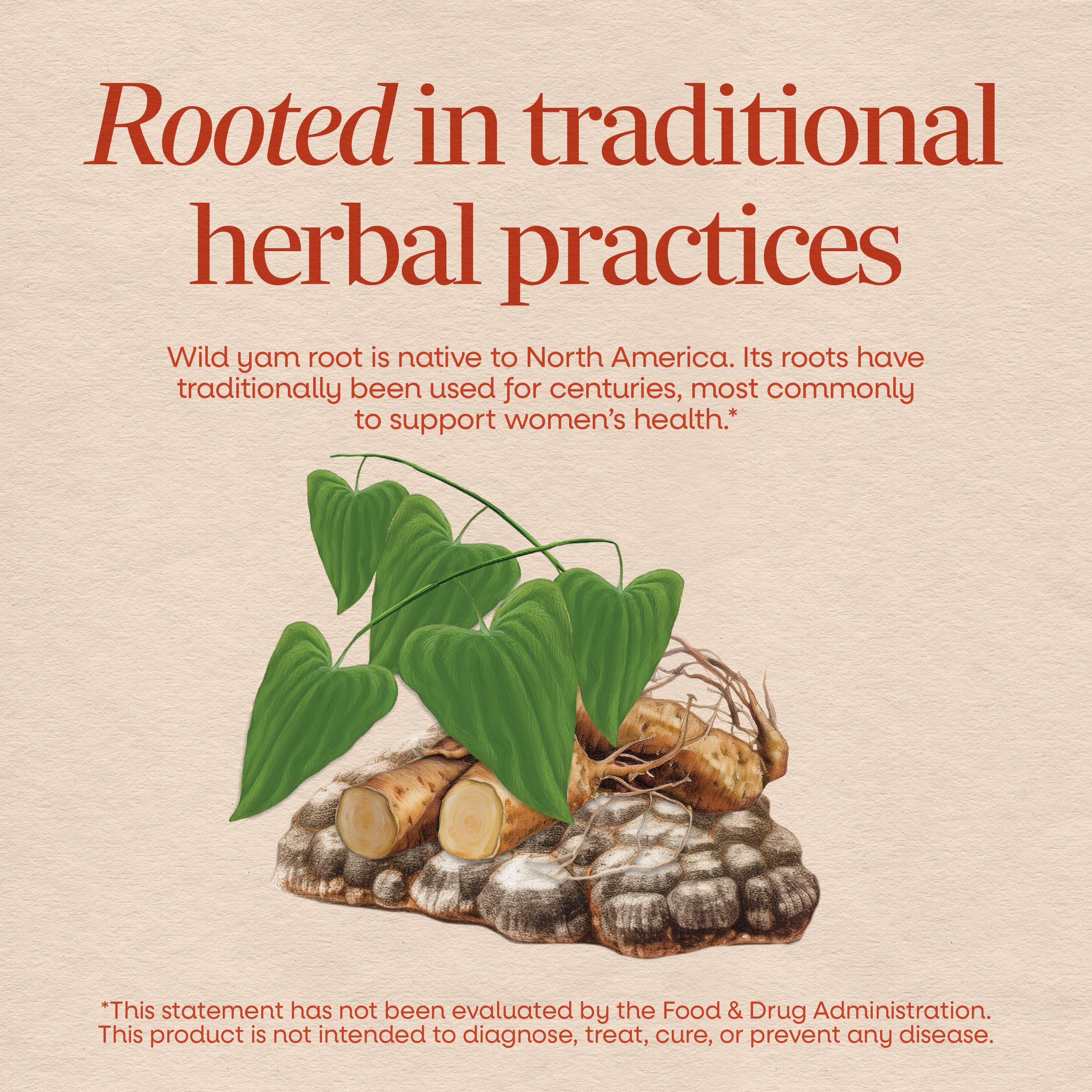 Nature's Way, Wild Yam, Root, 425 mg, 100 Vegetarian Capsules — Amazon image 3