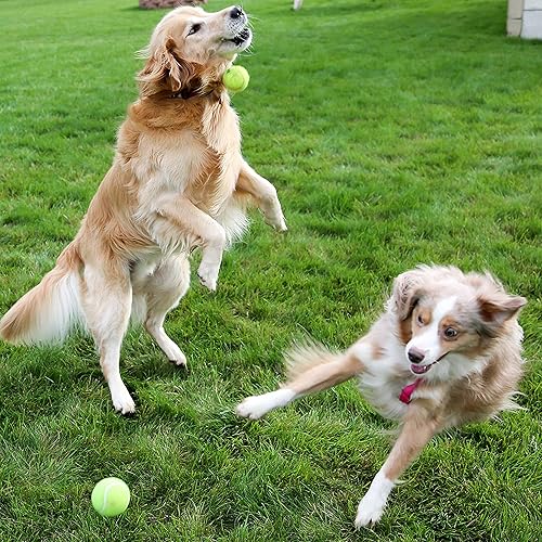 Miniatura 2 de Pelotas de tenis para perros, paquete de 12 unidades, juguetes interactivos chirriantes para entrenamiento, ejercicio, juego en interiores y
