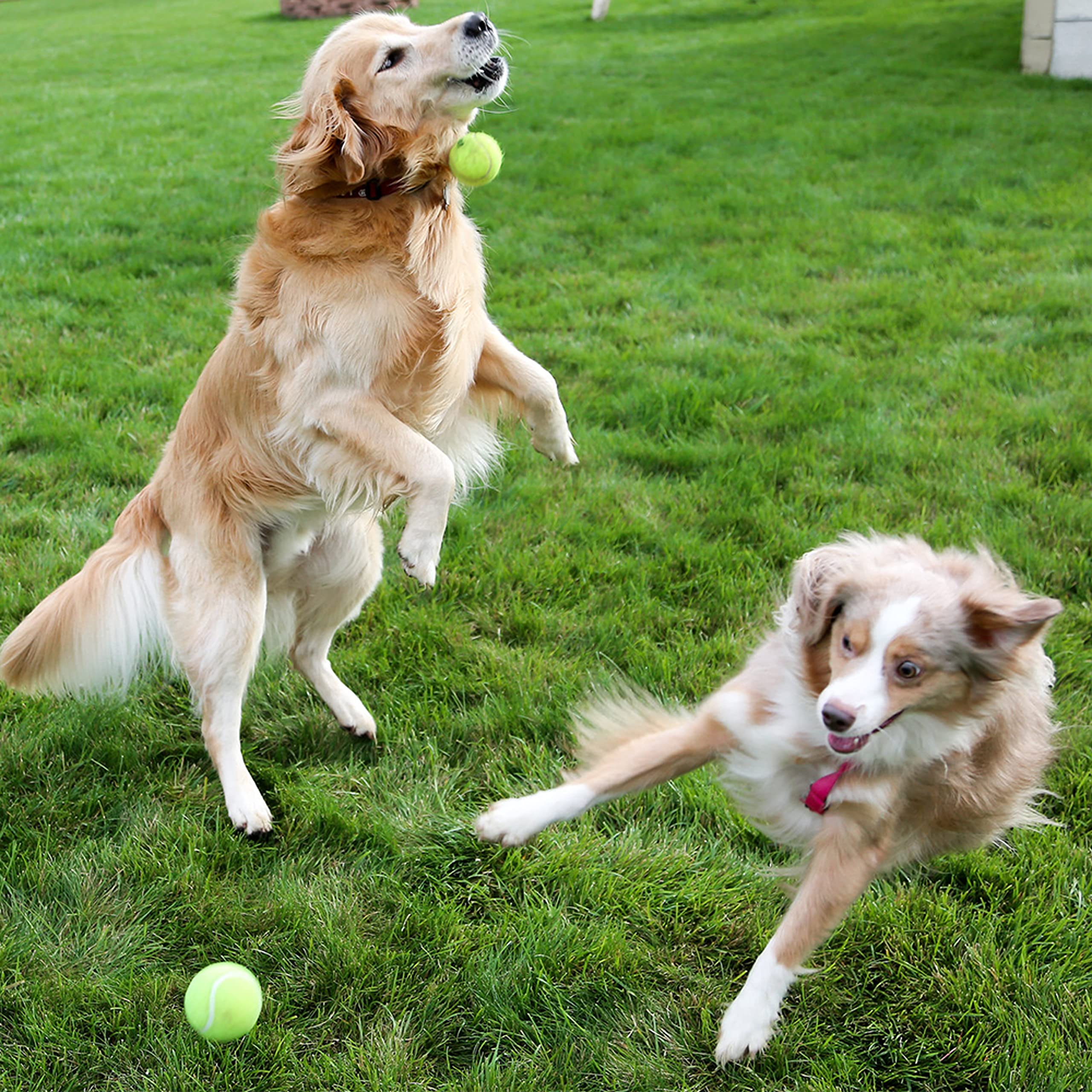 AnCoSoo Pelota de Juguete para Perros, Pelota de Goma para Comida de Perro