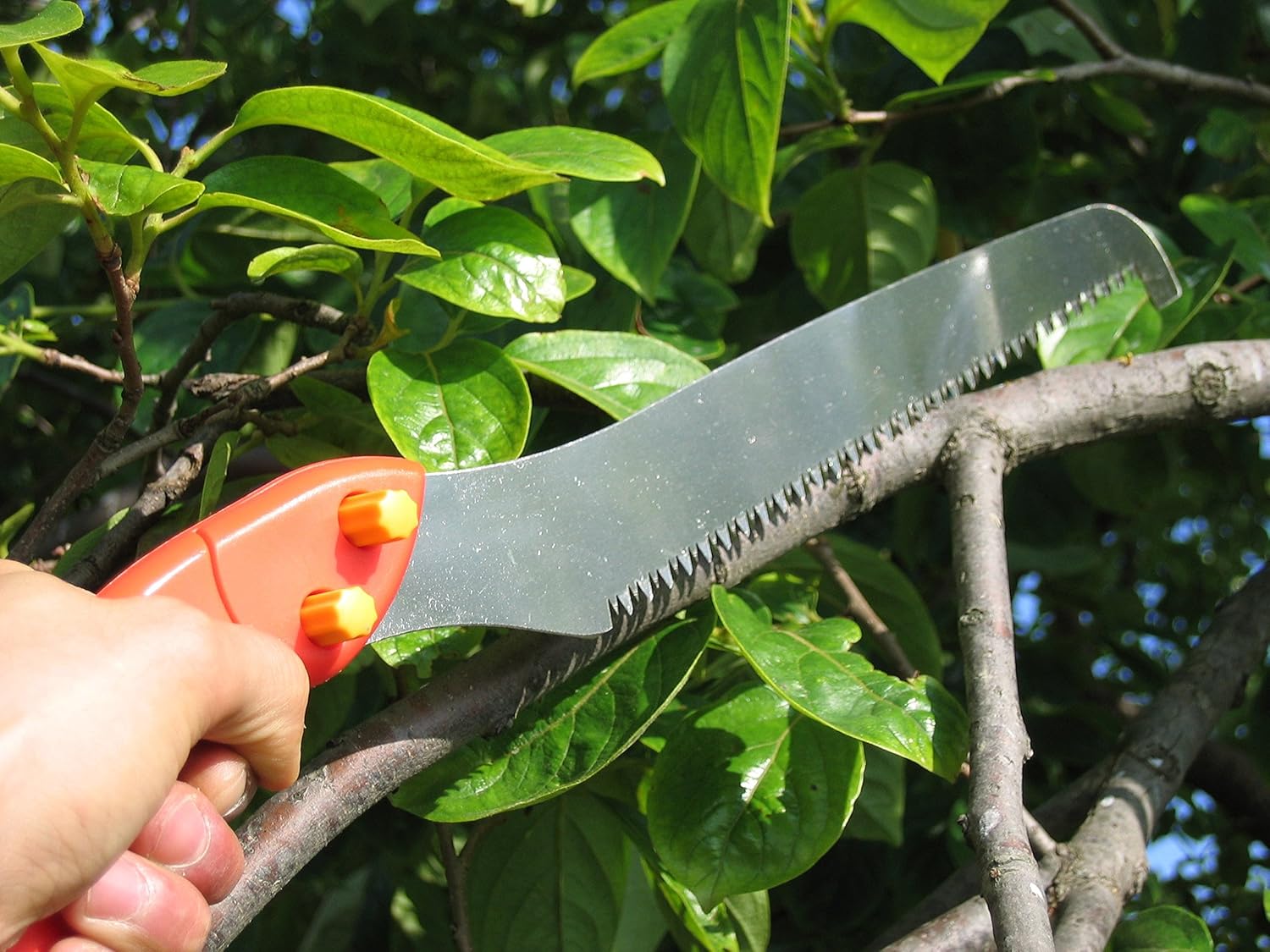 ホシノ 高枝切りはさみ(鋸刃・スプレー缶取りつけ付)