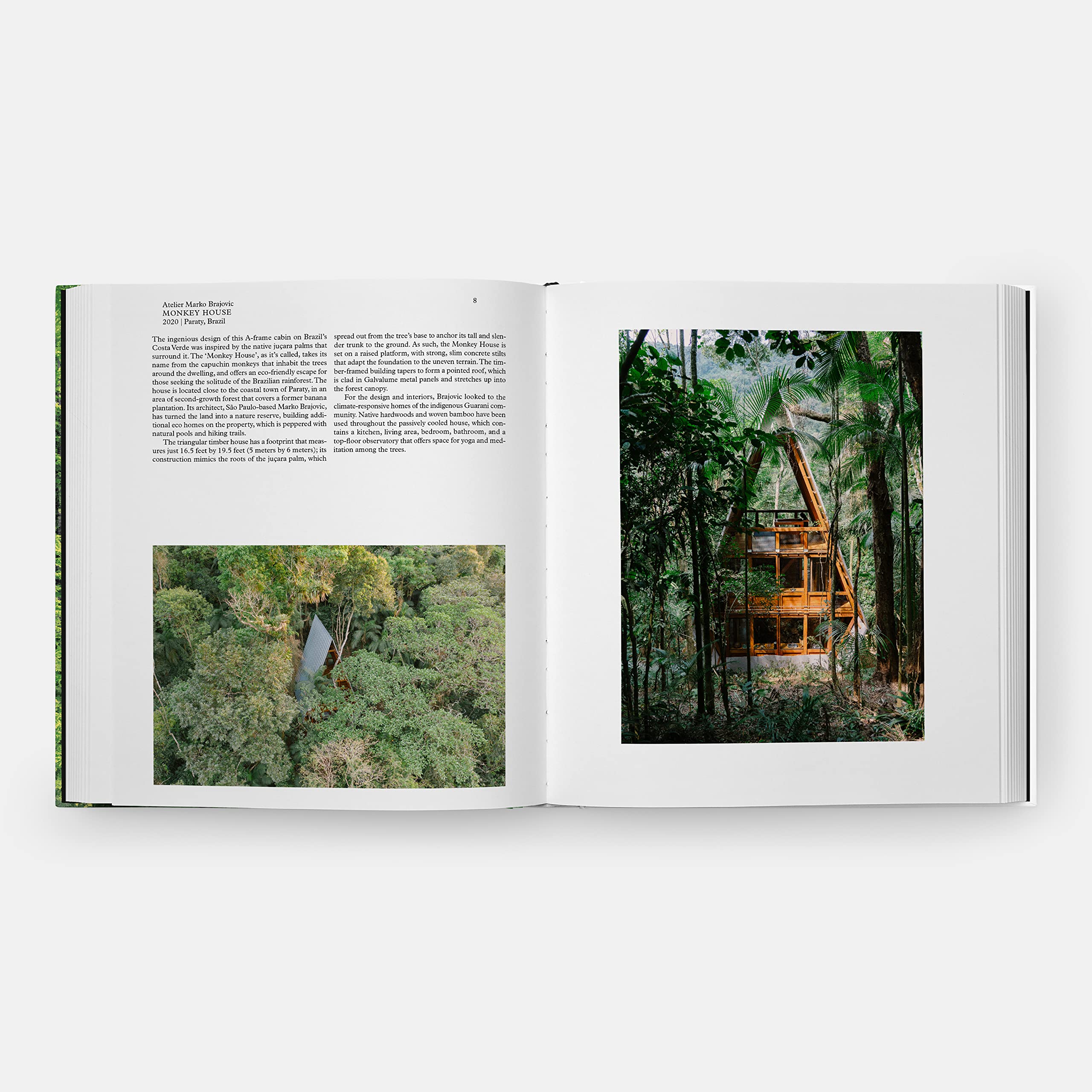 Living in the forest: Contemporary Houses in the Woods