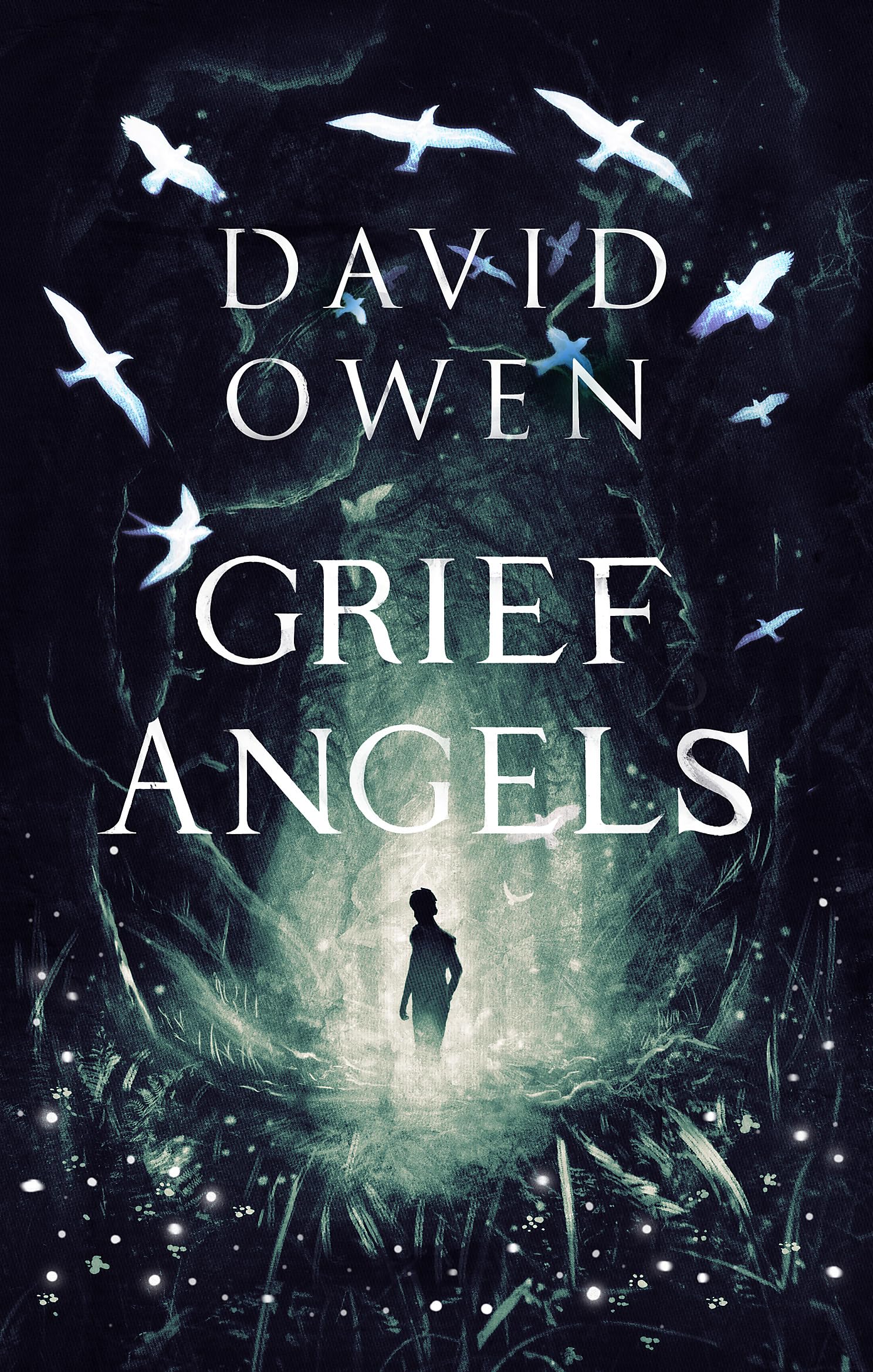 Grief Angels by David Owen PAPERBACK 9780349003429
