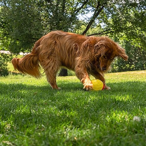 Miniatura 5 de Nina Ottosson by Outward Hound - Treat Tumble - Rompecabezas interactivo para dispensar los premios de los perros, color rojo, tamaño grande