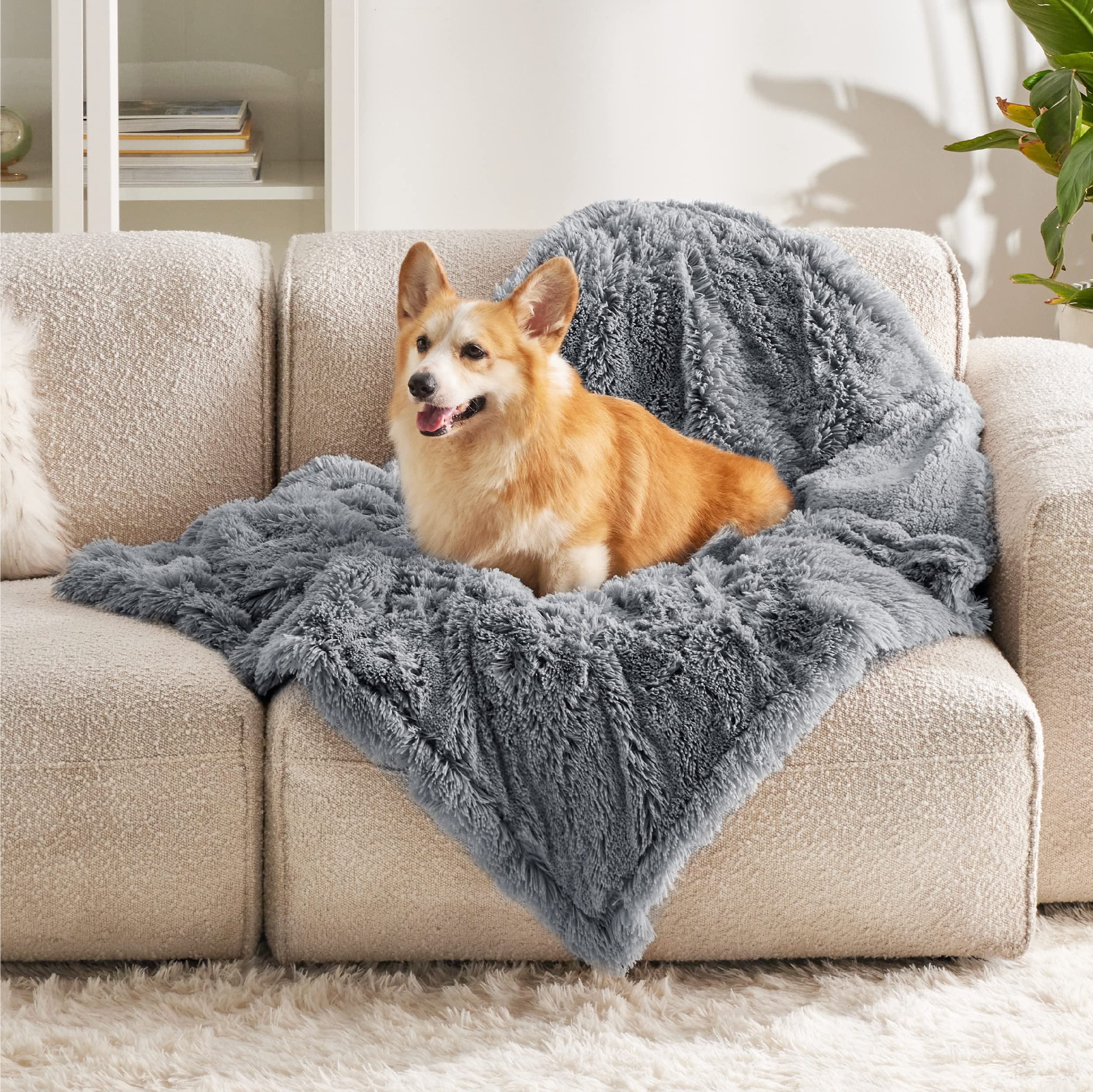 Bedsure Hondendeken, wasbaar, extra groot - Deken voor mensen en grote honden, veelzijdige, tweepersoons/dubbele hondenplaid beschermt bed en bank met zacht pluche, donkergrijs