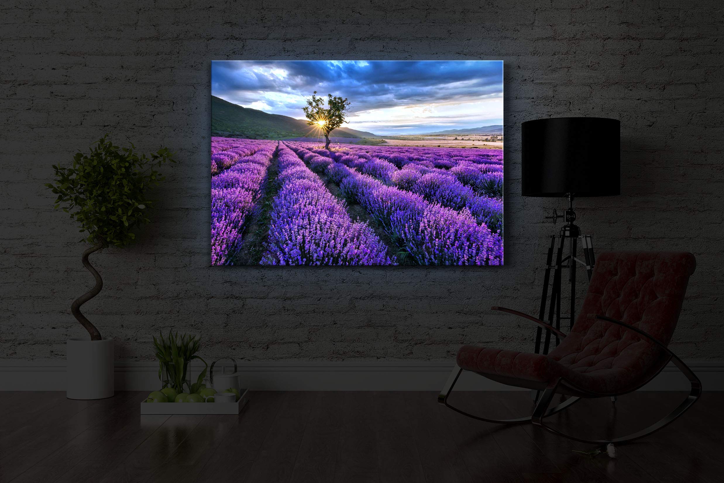 LED Leuchtbild Provence mit einsamen Baum 80x60 cm Front Lighted