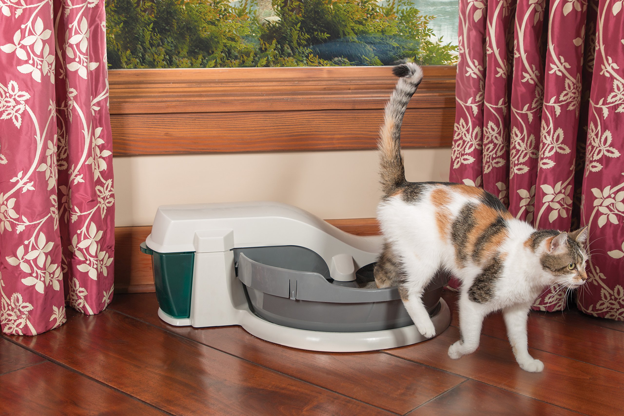 PetSafe Simply Clean SelfCleaning Cat Litter Box, Automatic Litter Box