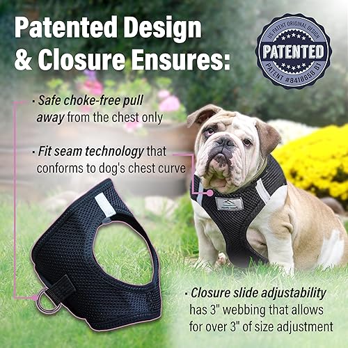 Vista 14 de DOGGIE DESIGN American River - Arnés para perro de la colección ombré, color frambuesa (S (circunferencia de 13 a 16 pulgadas)